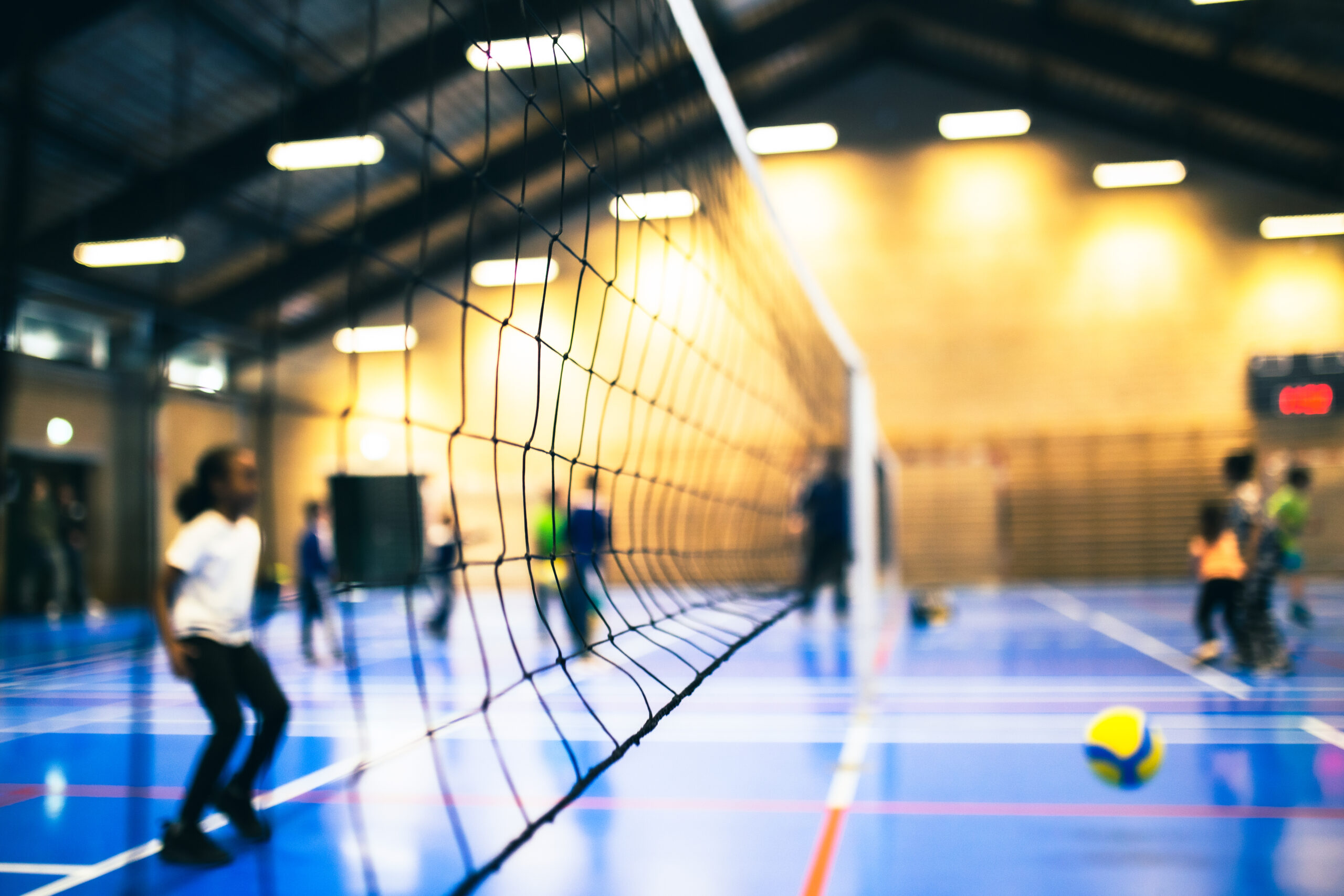 Volleyball Net